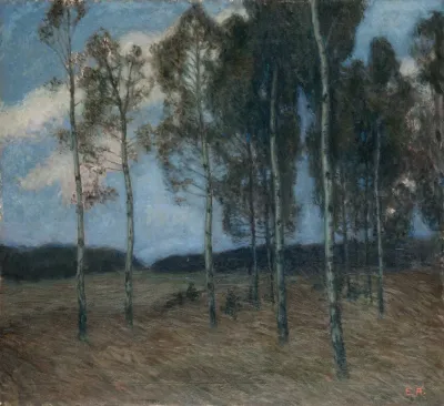 Birch Grove After Sunset