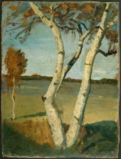 Birch Tree In A Landscape