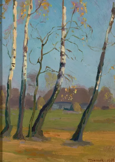 Birch Trees Near A Village