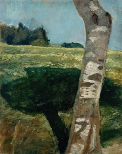 Birch Trunk 2