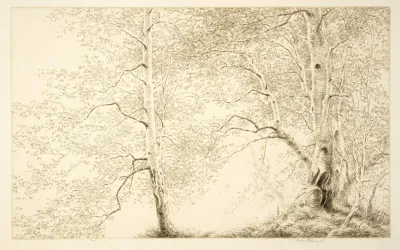 Birches