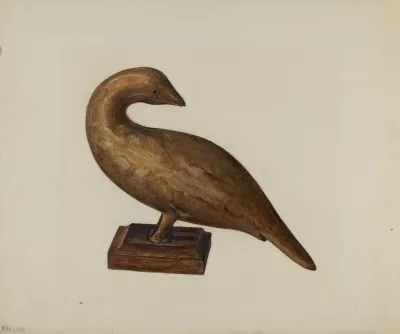 Bird 5
