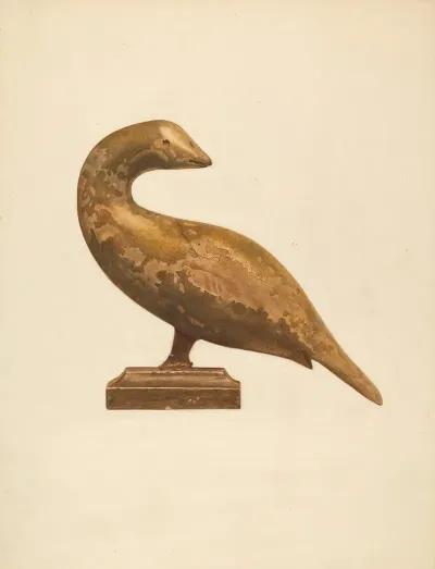 Bird 6