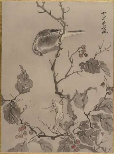 Bird And Frog