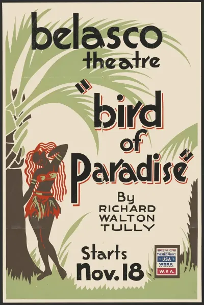 Bird Of Paradise 3