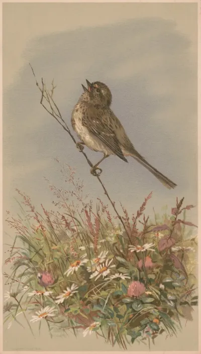 Bird On A Stalk Singing