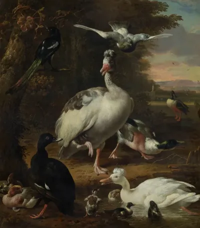 Birds 5