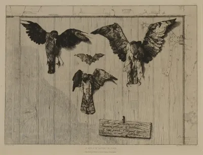 Birds Nailed To A Barn Door