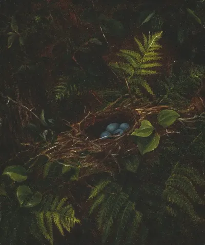 Birds Nest And Ferns