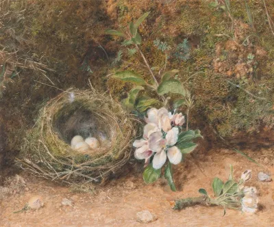 Birds Nest With Sprays Of Apple Blossoms