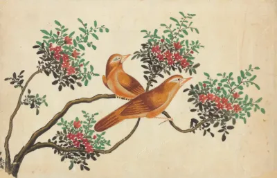 Birds Of China