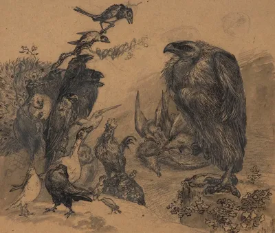 Birds Of Prey Devouring Their Prey In Front Of A Crowd Of Envious Birds