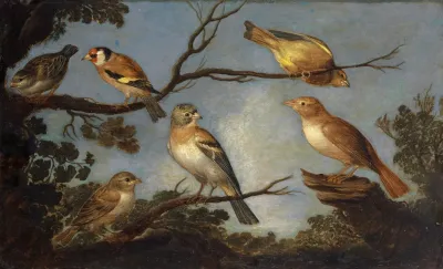 Birds On The Branches Of A Tree