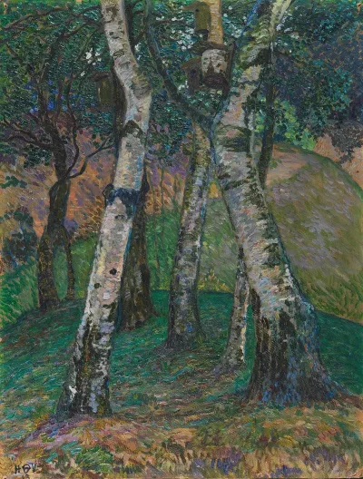 Birken Am Barkenhoff