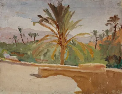 Biskra Oasis With Palm Trees
