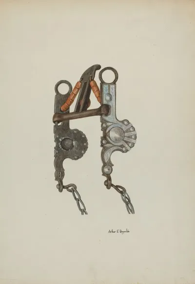 Bit 8