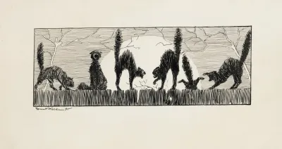 Black Cats Threatening Each Other On A Fence At Night