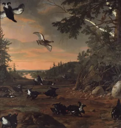Black Cocks At Ground