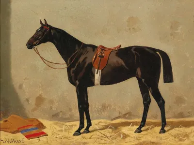 Black Horse In The Stable