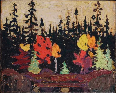 Black Spruce And Maple