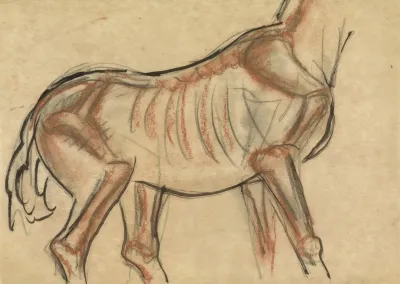 Blad Met Schets Van Een Paard 2
