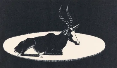 Blesbok