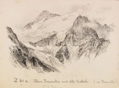 Blick Auf Die Presanella