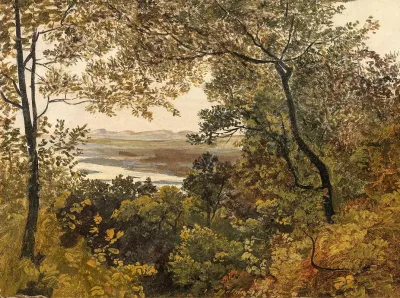 Blick Auf Die Unregulierte Donau Vom Bisamberg Aus Gesehen