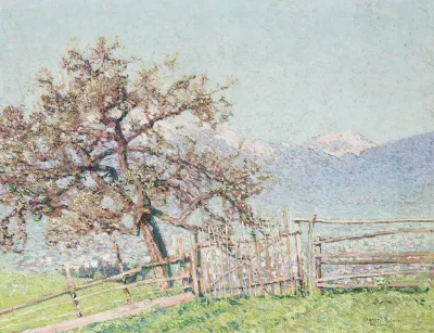 Blick Auf Dornbirn