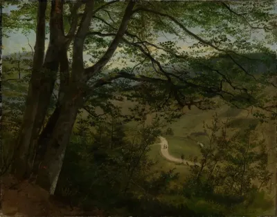 Blick Durch Baume Und Gestrauch Auf Tal