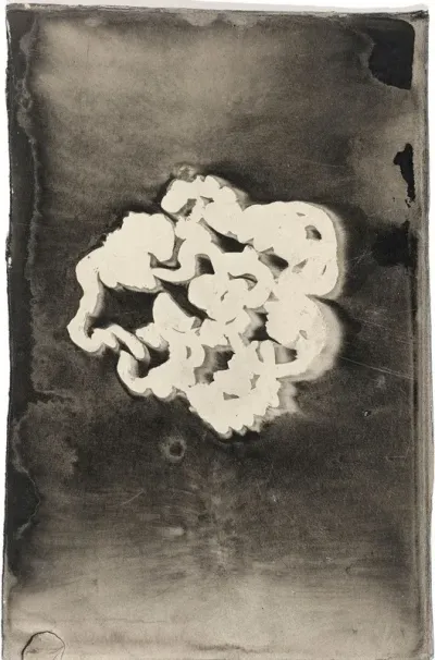 Bloem Iii