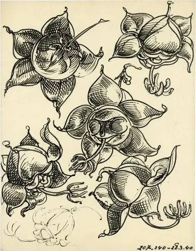 Bloemen 15