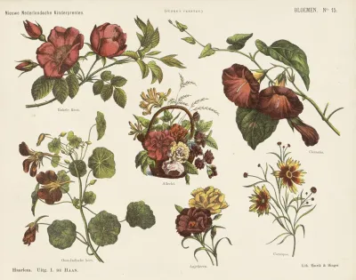 Bloemen 9