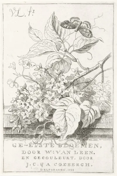 Bloemenstudie Met Vlinder