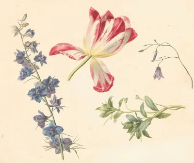 Bloemstudies