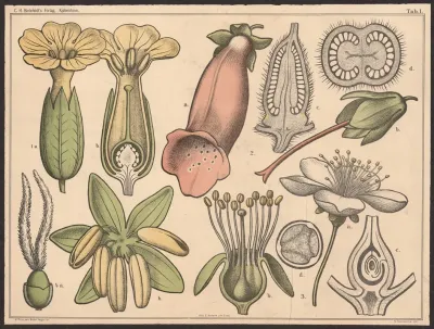 Blomstens Bygning I