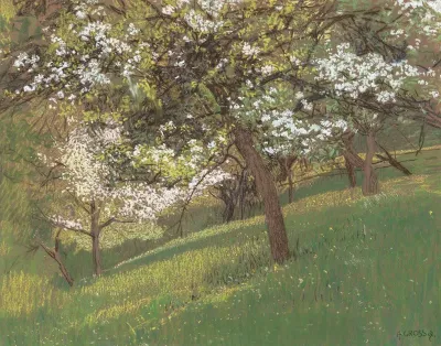 Blooming Orchard