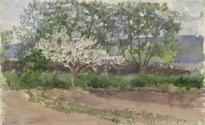 Blooming Tree