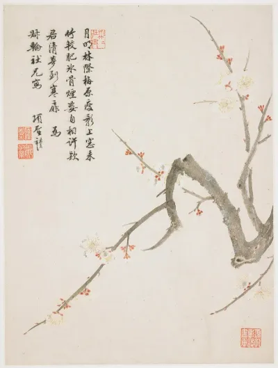 Blossoming Plum 2