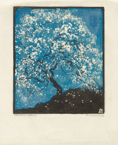 Blossoming Tree Bloesemboom