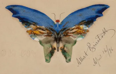 Blue Butterfly