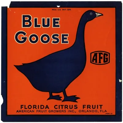 Blue Goose Florida Citrus Fruit Label