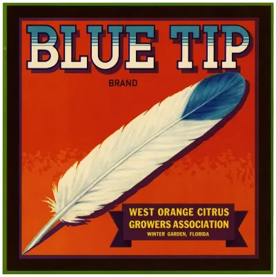 Blue Tip Brand Citrus Label 2