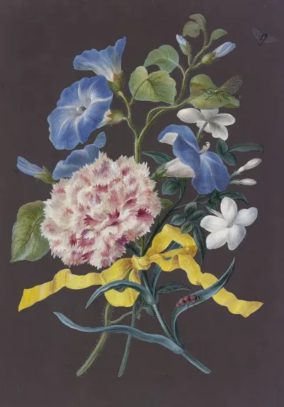 Blumengebinde Mit Rosa Nelke Dianthus Blauer Winde Convolvulus Und Weisem Jasmin Jasminum Mit Rotschwarz Getreiftem Kafer Libelle Und Fliege