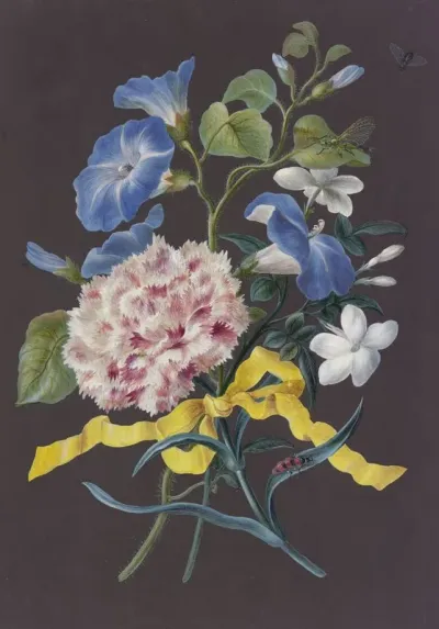 Blumengebinde Mit Rosa Nelke Dianthus Blauer Winde Convolvulus Und Weisem Jasmin Jasminum Mit Rotschwarz Getreiftem Kafer Libelle Und Fliege
