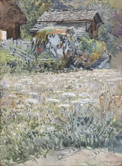 Blumenwiese Auf Dem Lande