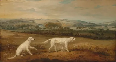 Blush And Juno English Setters In An Extensive Landscape
