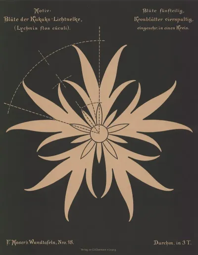 Blute Der Kukuks Lichtnelke Lychnis Flos Cuculi