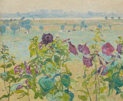 Bluten Stockrosen Blick Auf Den Rhein Bei Wittlaer