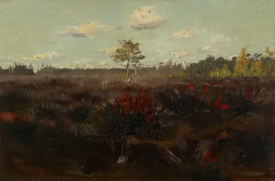 Bog In Lapland